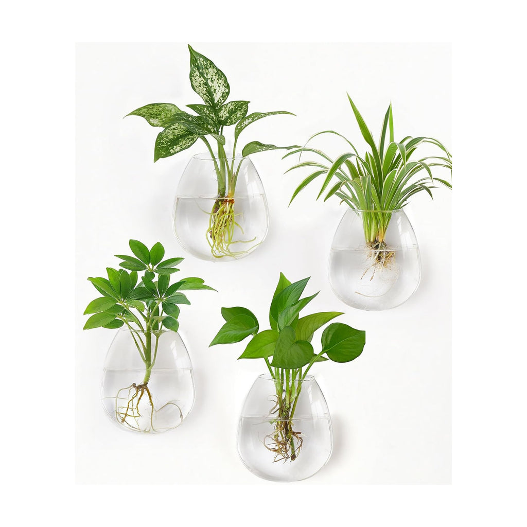 Dahey Wall Propagation Vases, 4 Pack Oblate Borosilicate Glass Planters | Fits Hydroponic Cuttings & Flowers