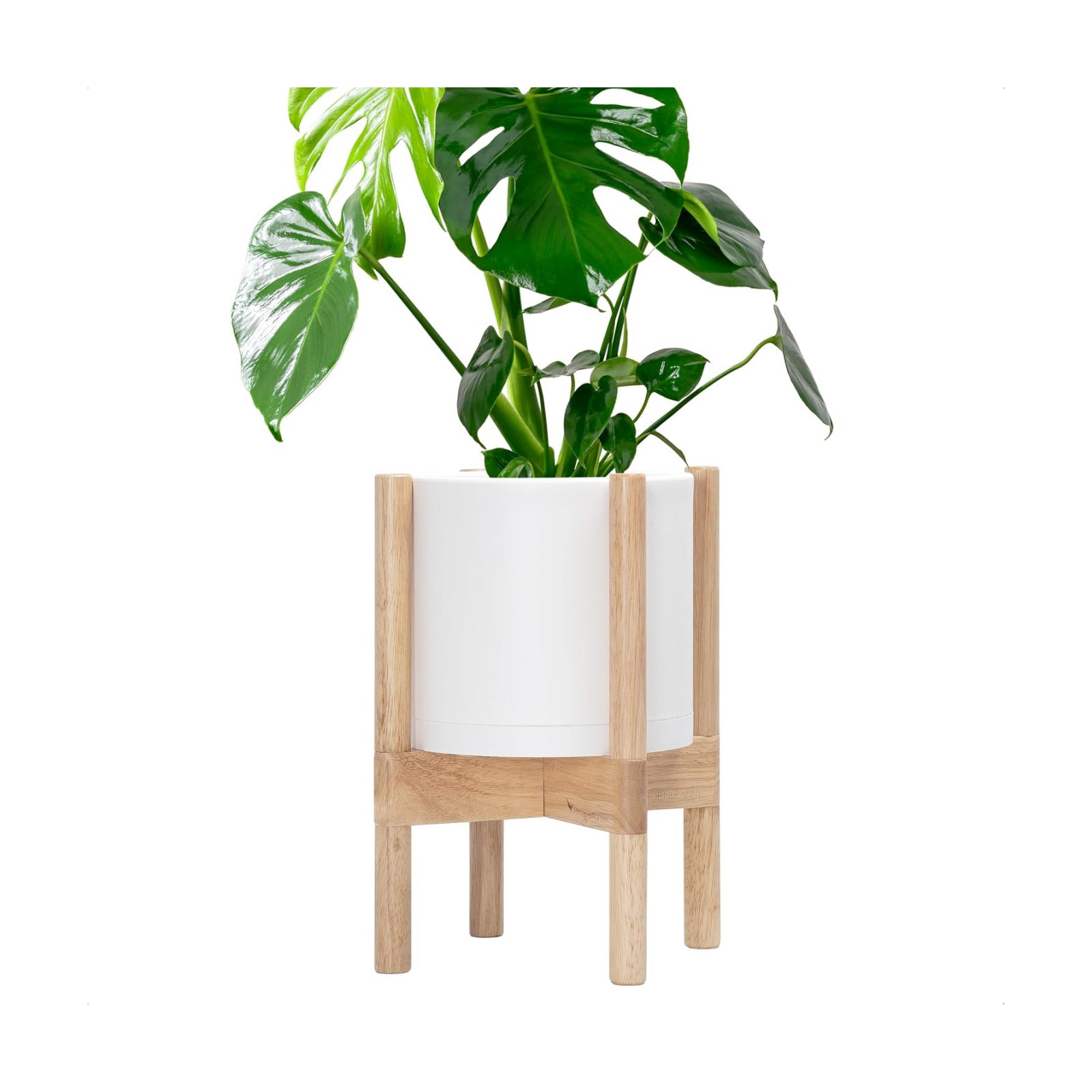 D'vine Dev Plastic Pot with Natural Wood Stand, White, 8 in, 55-C-J-1 | Mid-Century Inspired Design, Elevated Plant