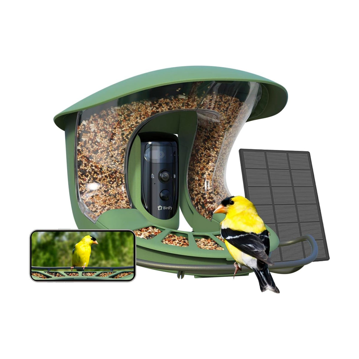 Birdfy 2 Pro Solar Bird Feeder Camera, Dual-Lens 2K+1080P, 7-Day AI Trial