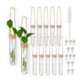 Baderke 12 Pack Plastic Hanging Propagation Station Tubes, Natural Color