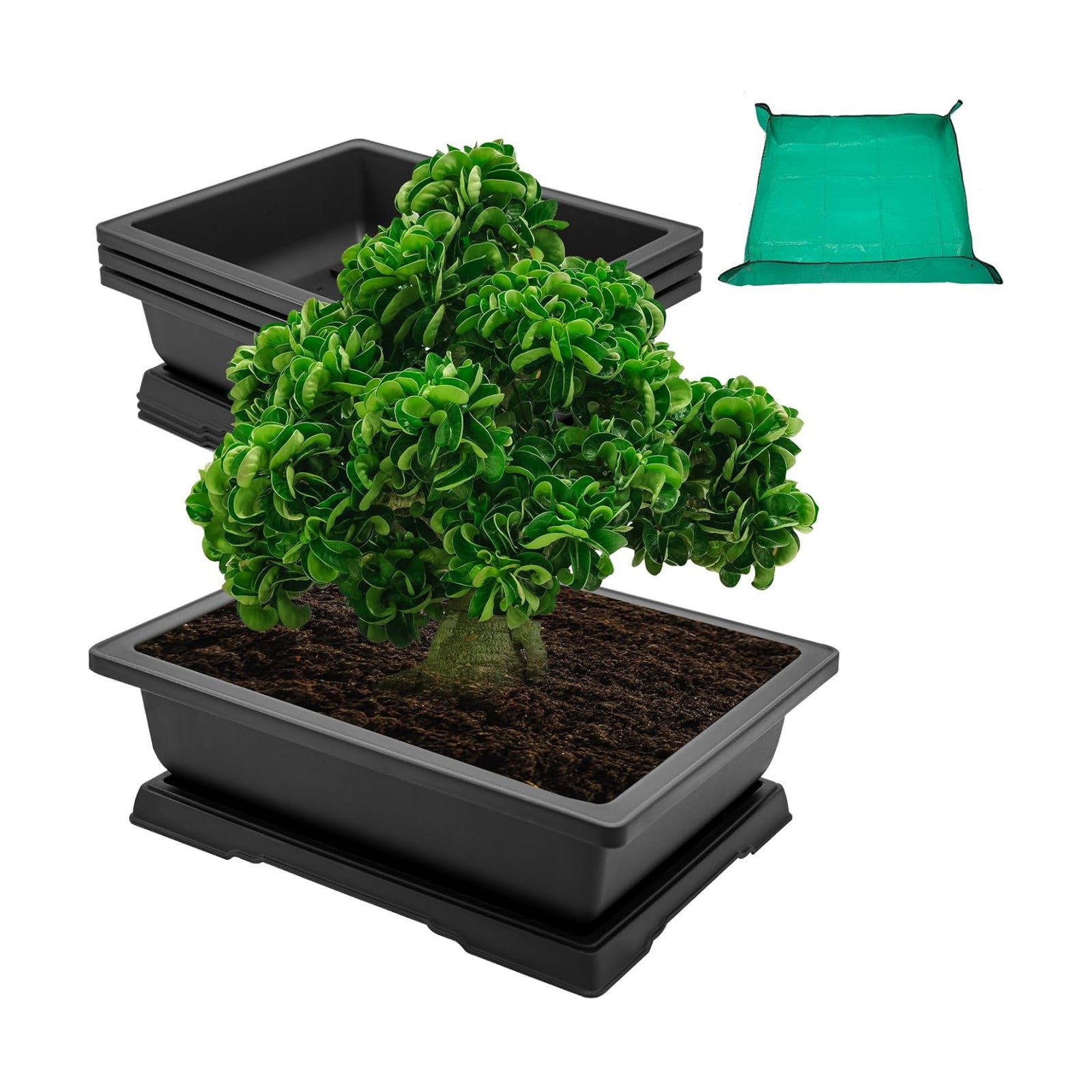 GROWNEER Large Bonsai Training Pots 3 Packs 14 Inch with Drainage Humidity Trays & Repotting Mat, Bonsai Tree Pot