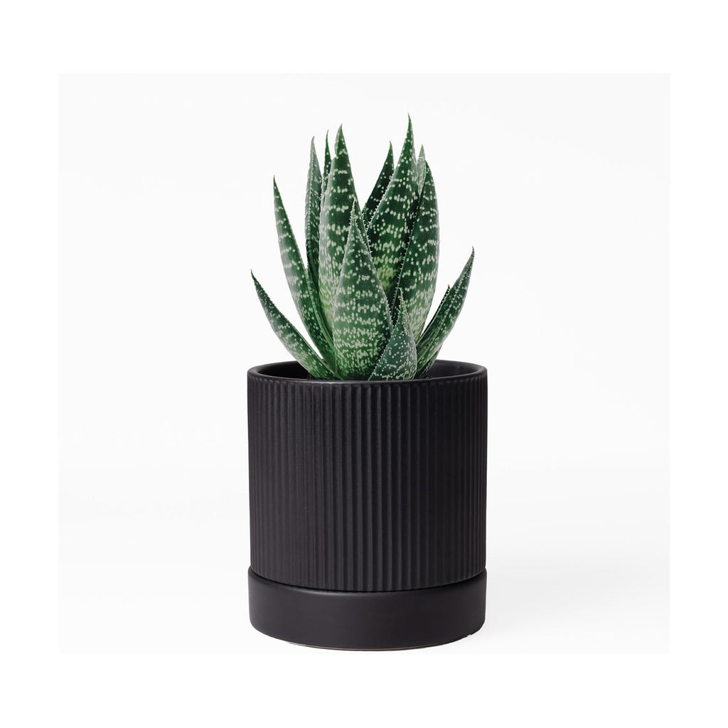 HERDUK Small Plant Pots, 4 Inch Pots for Indoor Plants, Modern Minimalist Ceramic Plant Pots with Drainage Hole &