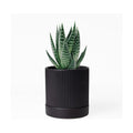 HERDUK Small Plant Pots, 4 Inch Pots for Indoor Plants, Modern Minimalist Ceramic Plant Pots with Drainage Hole &