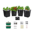 4 Hydroponic Buckets Kit for Plants, Hydroponics Growing System for Herbs/Tomato/Vegetables, DWC System with Air Pump &