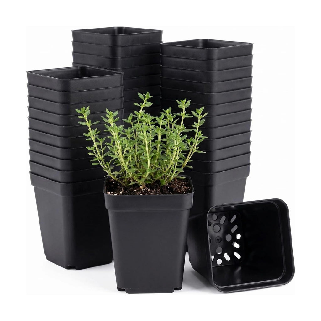 50 Packs Square Nursery Pots for Plants 2.2 Inch Seedling Pots