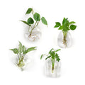 Mkono Wall Propagation Planters, 4 Pack Glass Hanging Vase Plant Holder | Varied Shapes Terrarium,Clear Root View