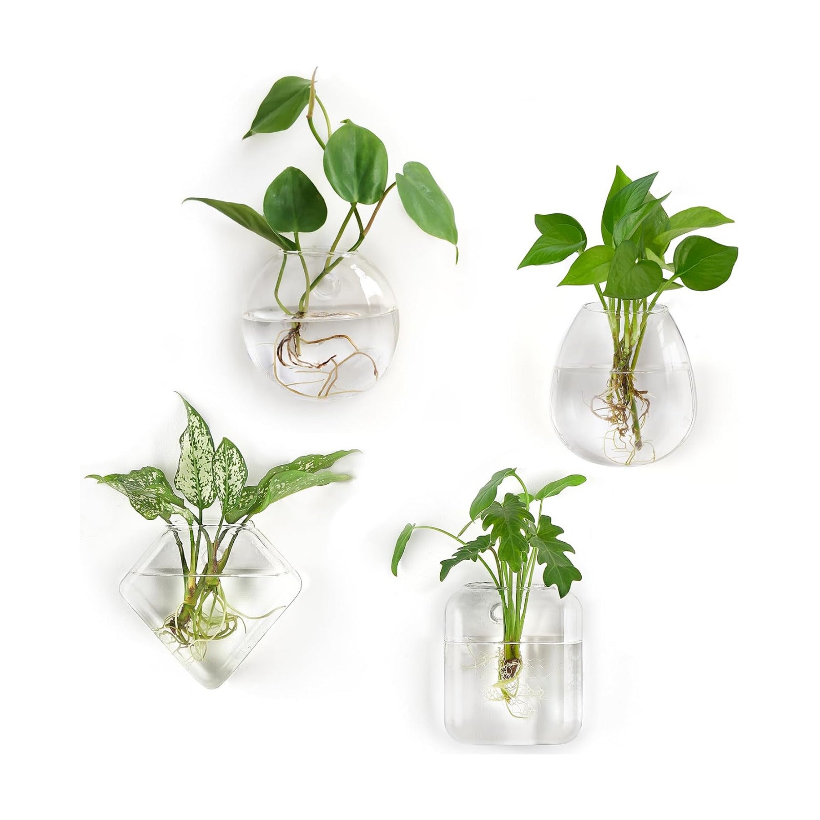 Mkono Wall Propagation Planters, 4 Pack Glass Hanging Vase Plant Holder | Varied Shapes Terrarium,Clear Root View