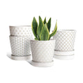 EFISPSS Ceramic Plant Pots Indoor, 5 Inch Planters with Drainage Holes and Ceramic Tray, Relief Design Flower Planter