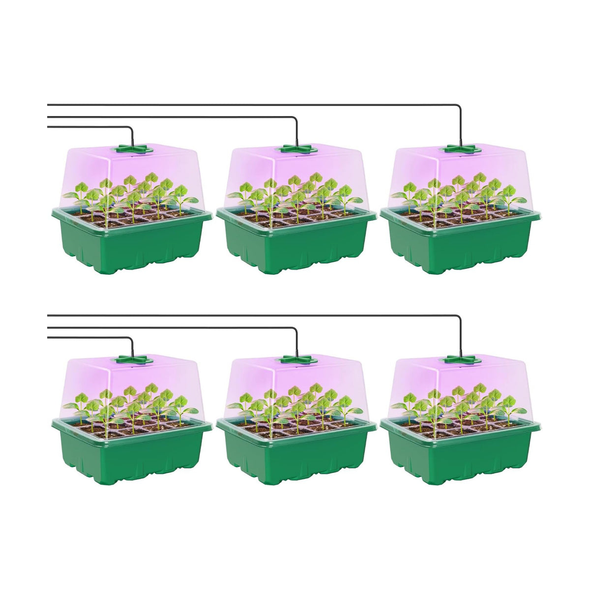 MIXC 6 Pack Seed Starter Kit with Grow Light, Vented Humidity Dome, Green