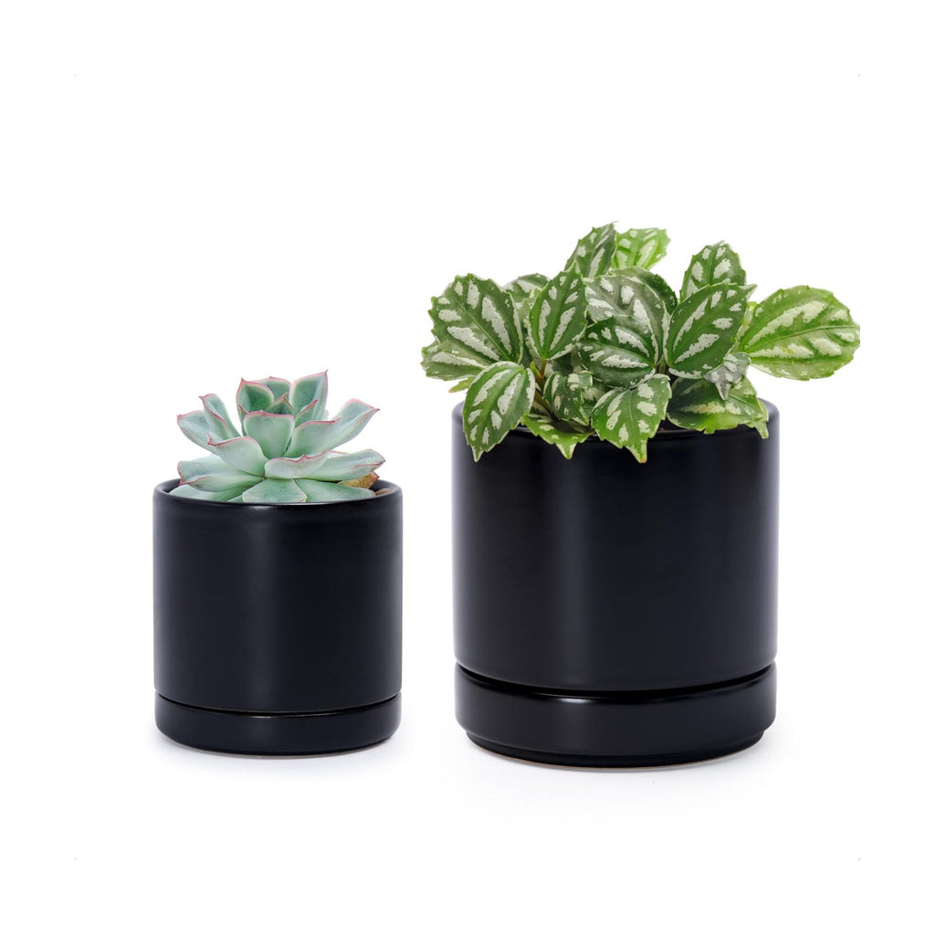 D'vine Dev 2-Pack Ceramic Pots & Saucers, Black, 3.5/4.7 in, 94-G-XS-2 | Glazed Ceramic, Drainage Hole, Perfect-Fit