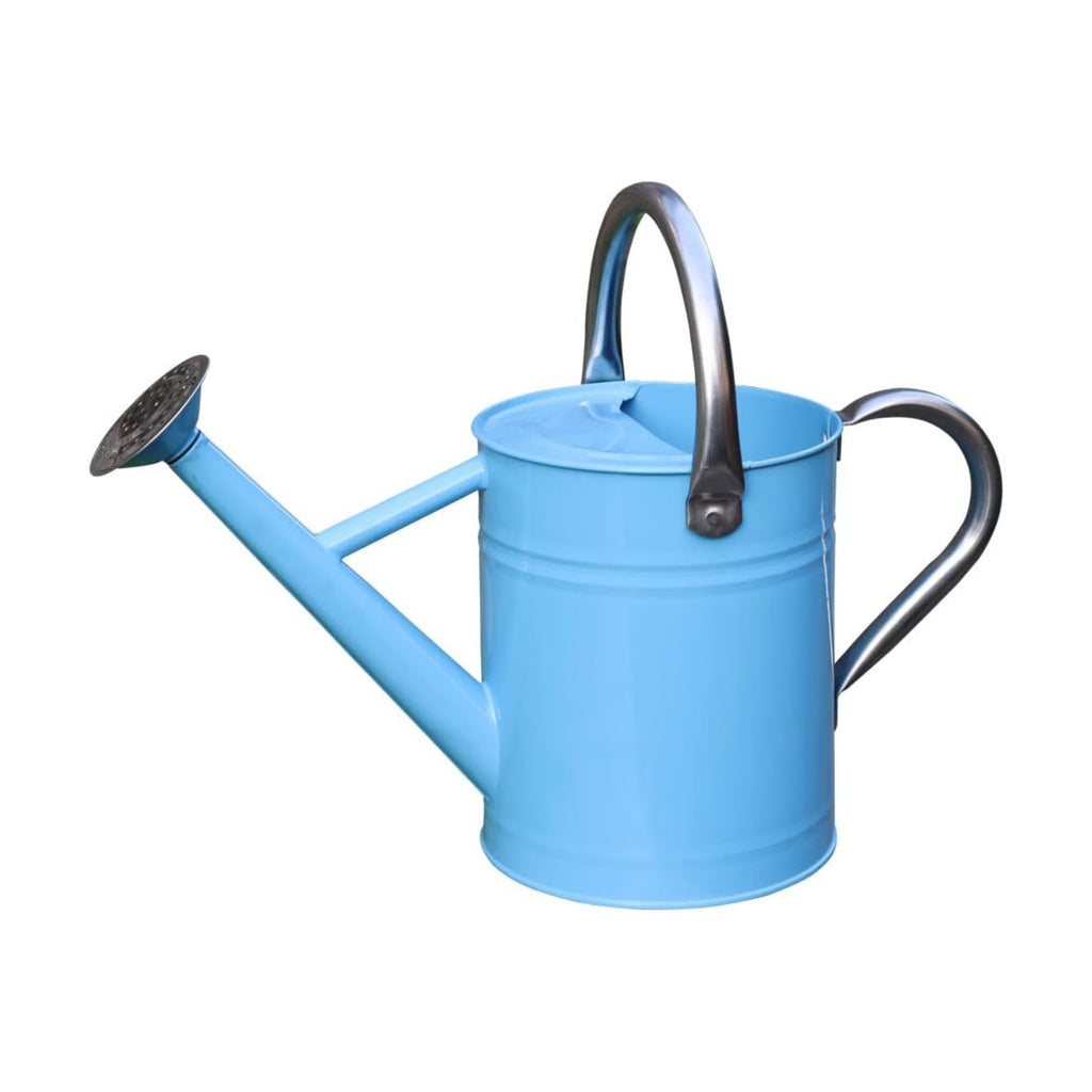 Metal Watering Can, 1 Gallon for Outdoor Garden Plants, Blue | Watering Cans Stainless Steel Handhold with Removable
