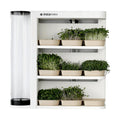 Indoor Garden, Fully Automated LED Growing Unit for Microgreens, Herbs, Leafy Greens, Organic Soil-Based, Low/No