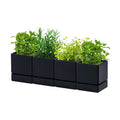 D'vine Dev 4-Pack Plastic Herb Planter Pots, 4 in, Black, 76-Y-B4-1 | Sleek Minimalist Style, Window Herb Garden