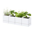 D'vine Dev 4-Pack Plastic Herb Planter Pots, 4 in, White, 76-Y-A4-1