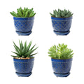 Sureasy Succulent Pots, 3.5 Inch Flower Pots for Indoor Plants, Small Plant Pots with Saucer & Drainage, Decorative