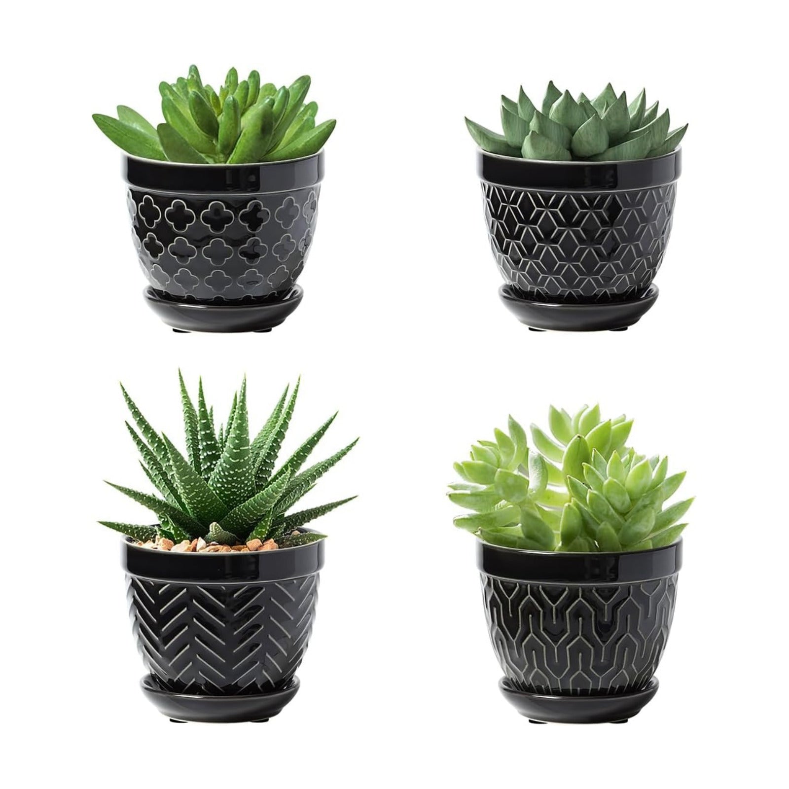Sureasy Succulent Pots, 3.5 Inch Flower Pots for Indoor Plants, Small Plant Pots with Saucer & Drainage, Decorative