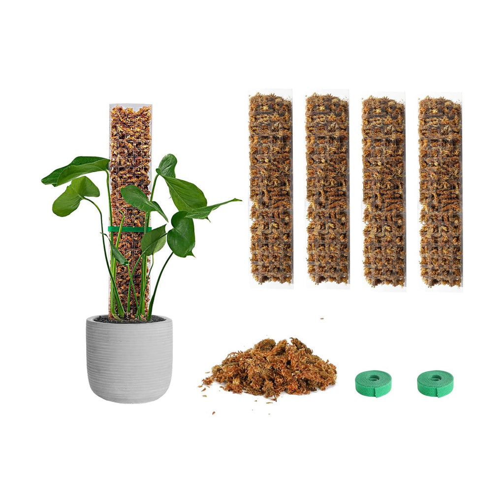 EOX Plastic Moss Pole Kit for Monstera, 15-Inch, 4-Pack, 5.3oz Moss | Clear D-Shaped Design, Fold-to-Assemble, Includes