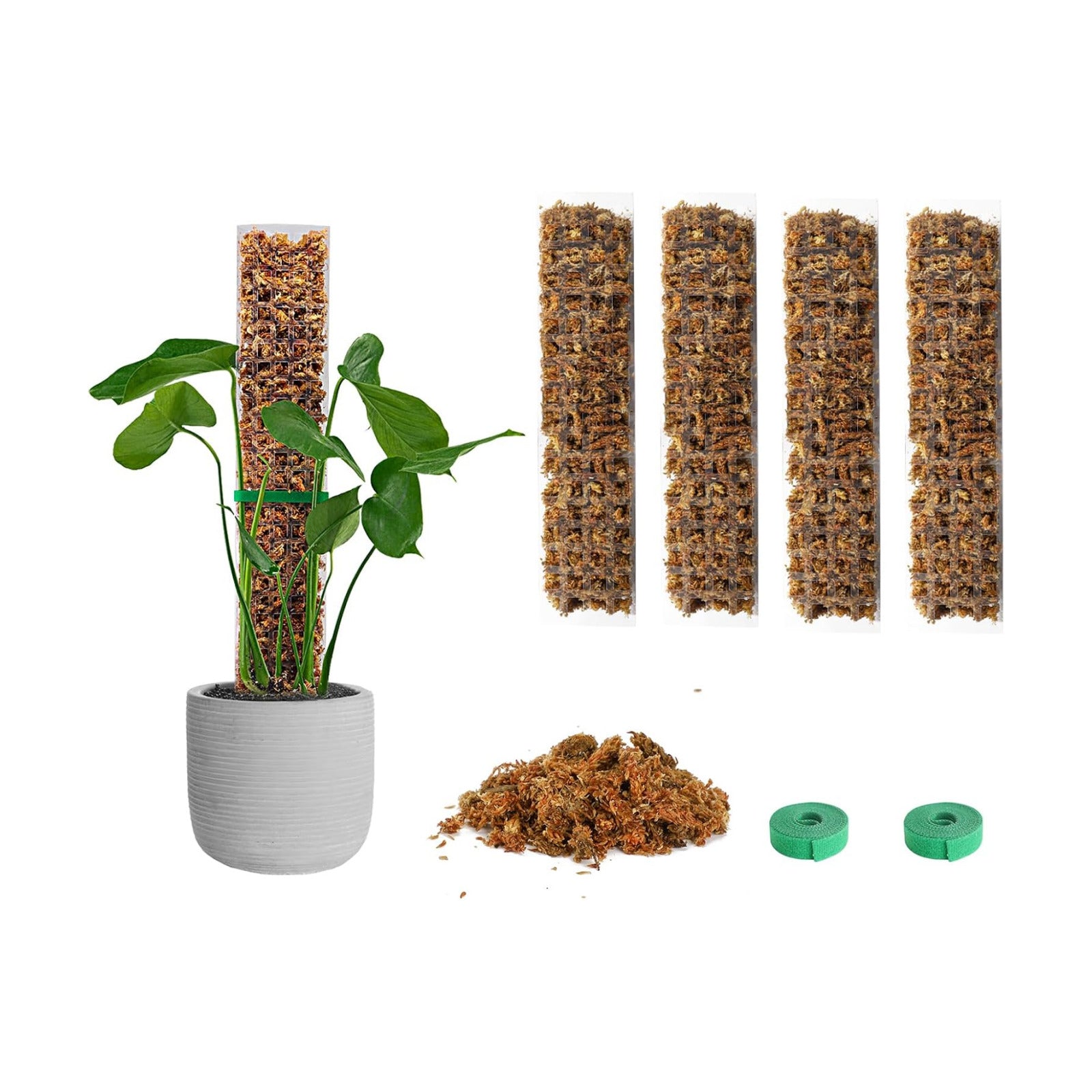 EOX Plastic Moss Pole Kit for Monstera, 15-Inch, 4-Pack, 5.3oz Moss | Clear D-Shaped Design, Fold-to-Assemble, Includes