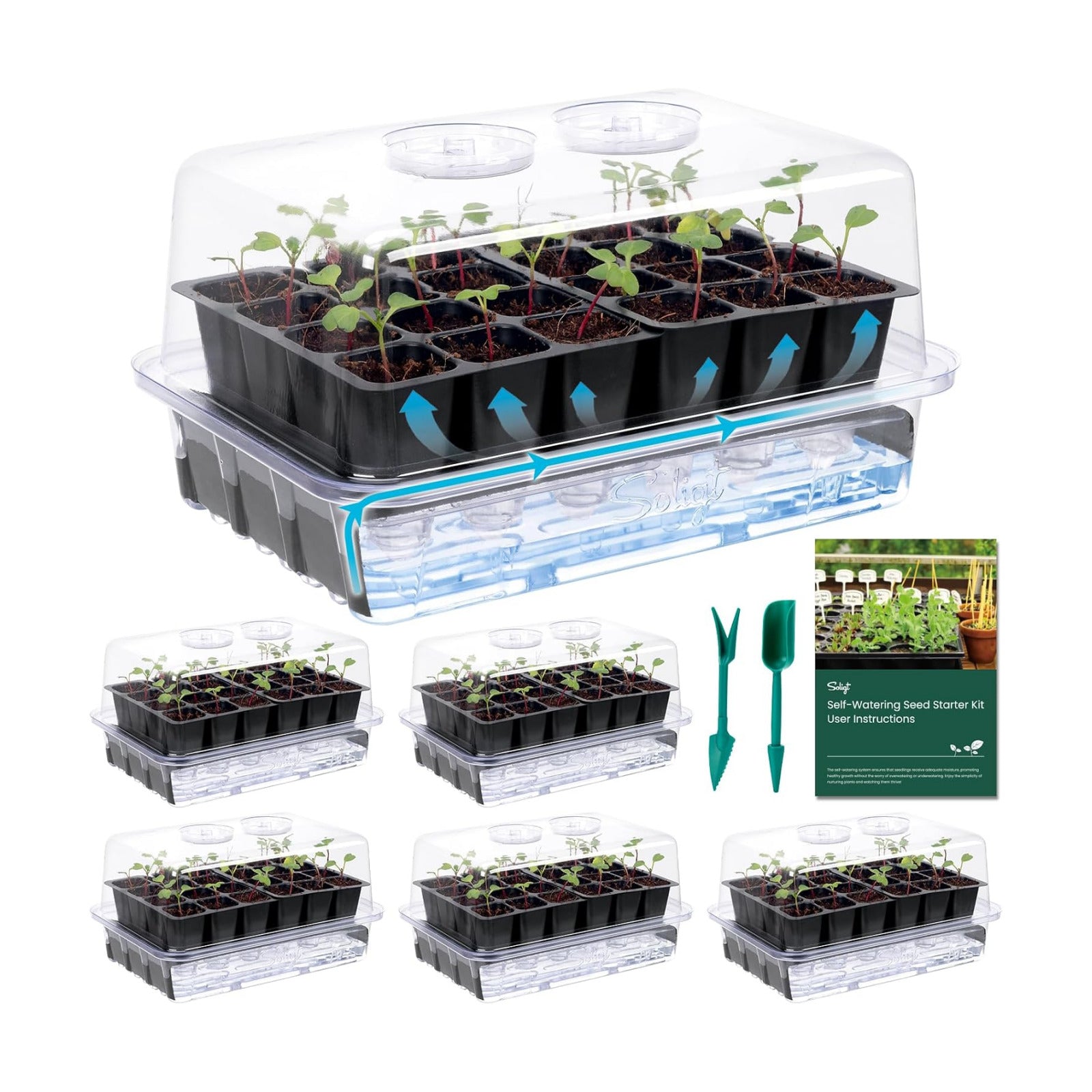 SOLIGT Self Watering Seed Starter Trays with Humidity Domes 6 Pack 144 Cell | Extra Thick Plastic Seed Starter kit for