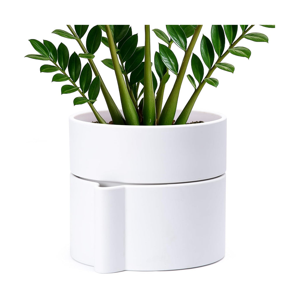 Phoenix Vine 8 Inch Self-Watering Planter Pot with Terracotta Insert, Deep Water Reservoir, and Ceramic-Alike BPA-Free