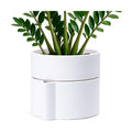 Phoenix Vine 8 Inch Self-Watering Planter Pot with Terracotta Insert, Deep Water Reservoir, and Ceramic-Alike BPA-Free