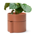 8 Inch Self-Watering Planter Pot with Terracotta Insert, Deep Water Reservoir, and Ceramic-Alike BPA-Free Plastic