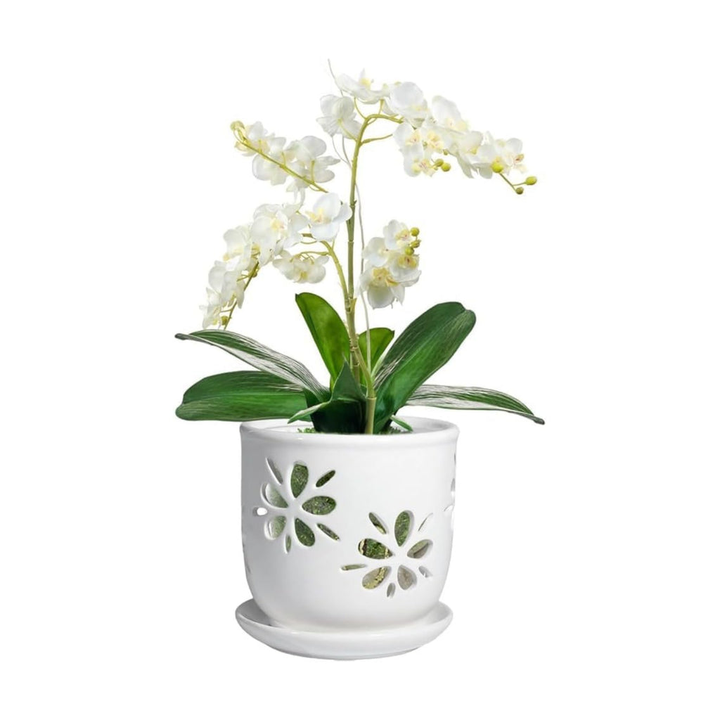 1 Pack 6 Inch White Ceramic Orchid Pot with Holes and Saucer | White Ceramic Planter for Orchid Repotting, Flower Pot