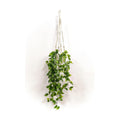 Comtelek 2 Packs Fake Hanging Plant with Pots for Home Decor Artificial Hanging Basket Plants Macrame Plant Hanger with