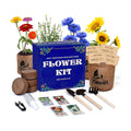 Indoor Daisy Garden Starter Kit, 4 Flower Seeds Growing into Shasta Daisy, Cornflower, Sunflower, Zinnia, Including