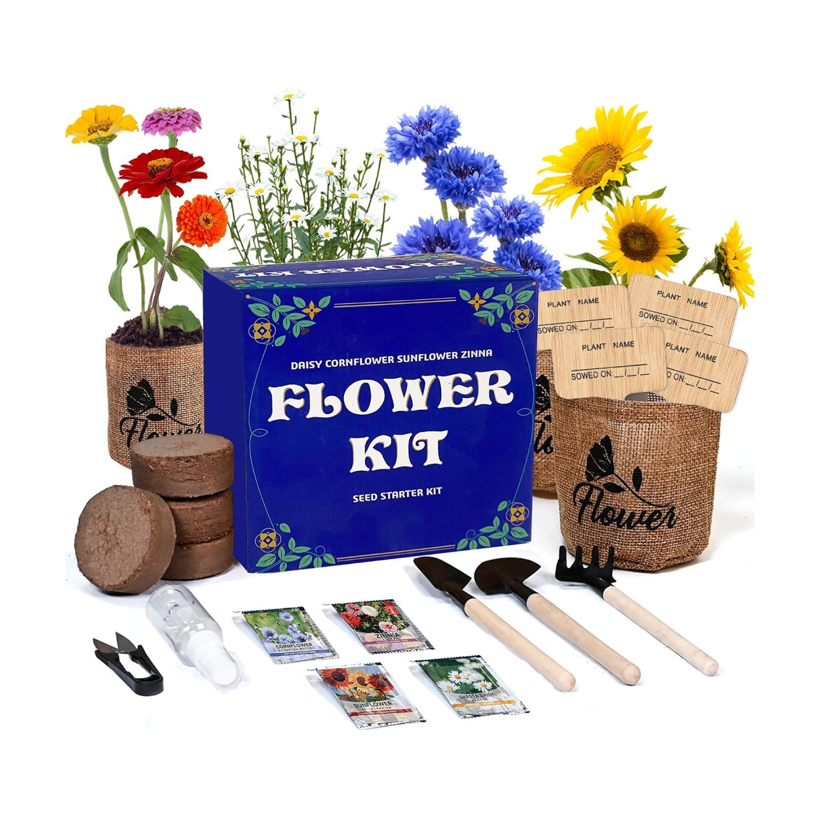 Indoor Daisy Garden Starter Kit, 4 Flower Seeds Growing into Shasta Daisy, Cornflower, Sunflower, Zinnia, Including