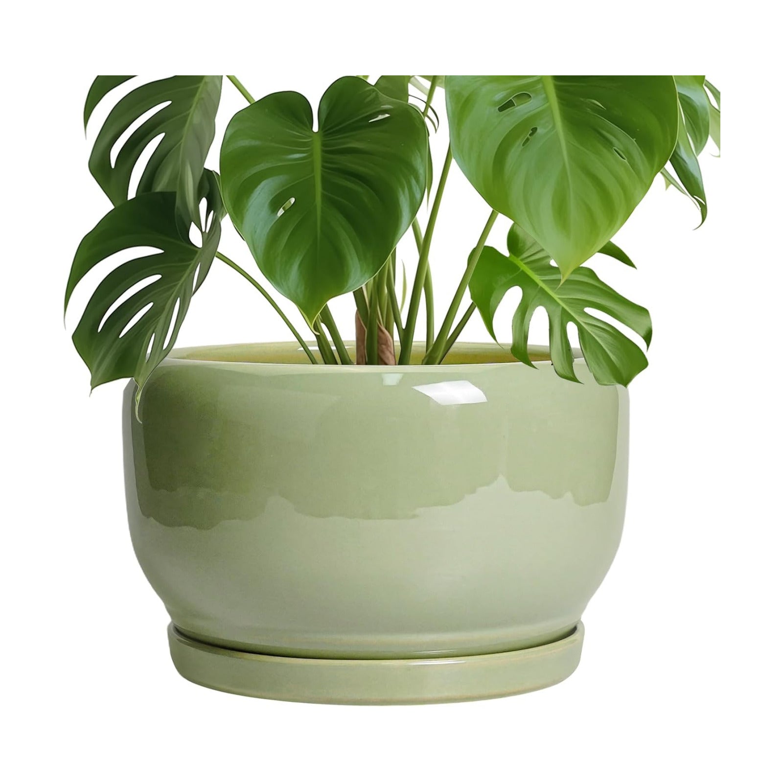 SQOWL Ceramic Planter - 10 Inch Pot for Plants Indoor Outdoor, Round Modern Flower Pot with Drainage Hole and Saucer