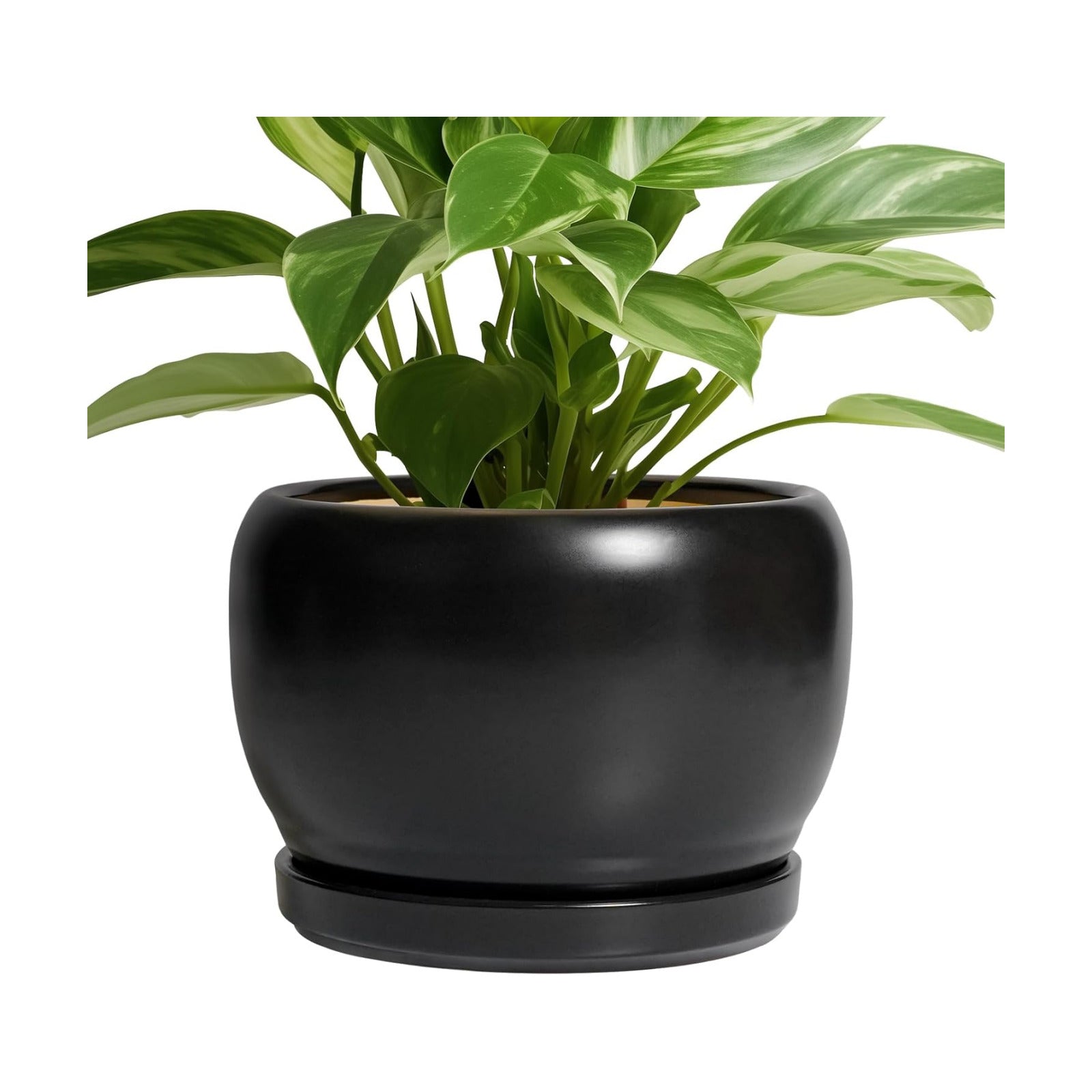 SQOWL Ceramic Plant Pots - 8 Inch Planter Indoor, Round Flower Pot with Drainage Hole and Saucer, Modern Outdoor