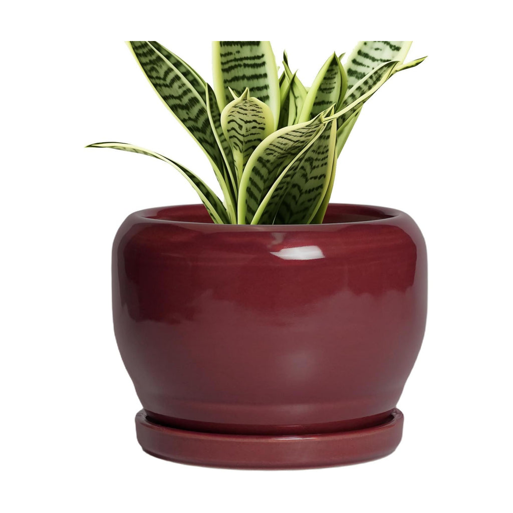 SQOWL 6 Inch Plant Pot - Ceramic Planter for Indoor Plants Outdoor, Round Planter with Drainage Hole and Saucer