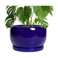 SQOWL Ceramic Plant Pot - 10 Inch Ceramic Planter for Indoor Outdoor, Round Flower Pot with Drainage Hole and Saucer