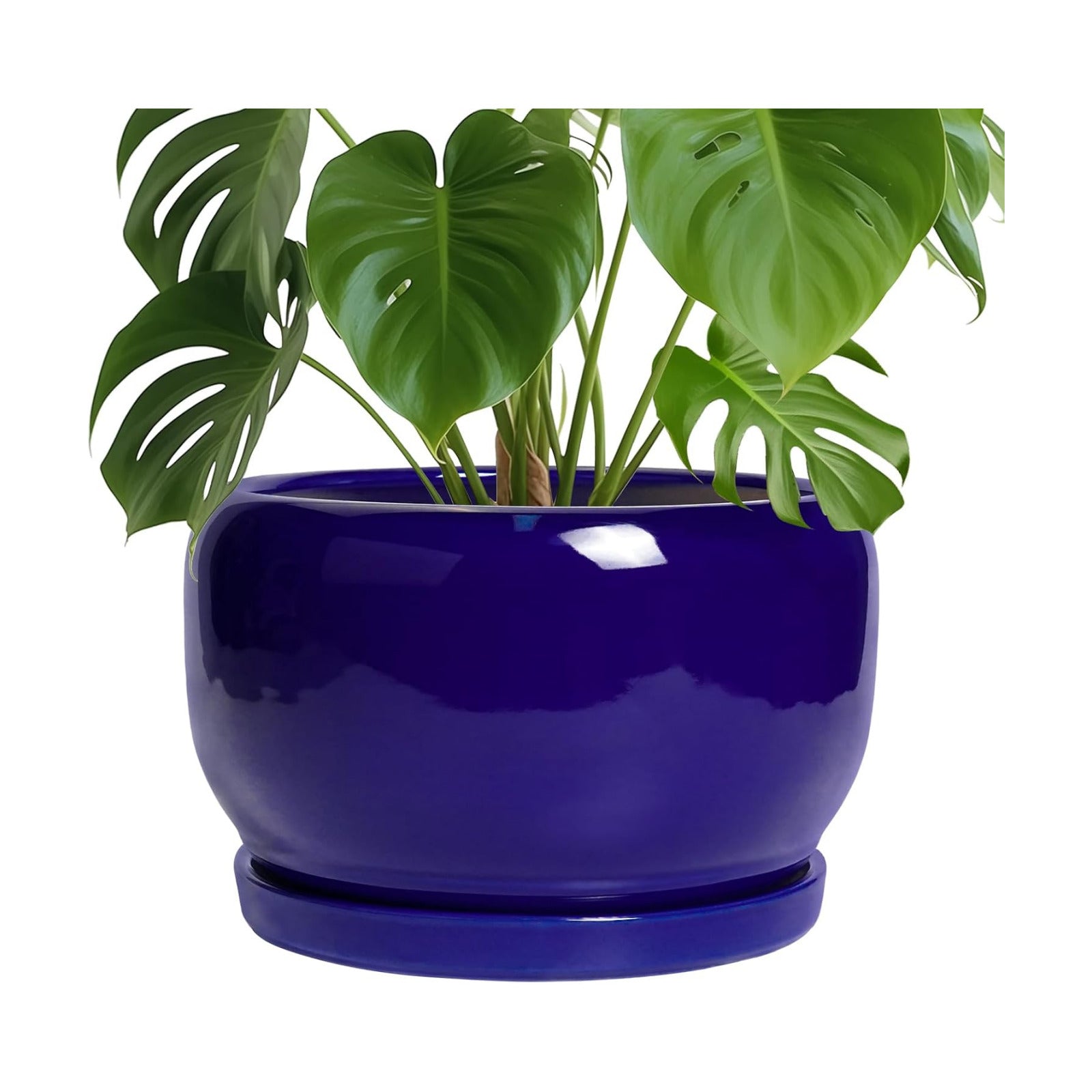 SQOWL Ceramic Plant Pot - 10 Inch Ceramic Planter for Indoor Outdoor, Round Flower Pot with Drainage Hole and Saucer