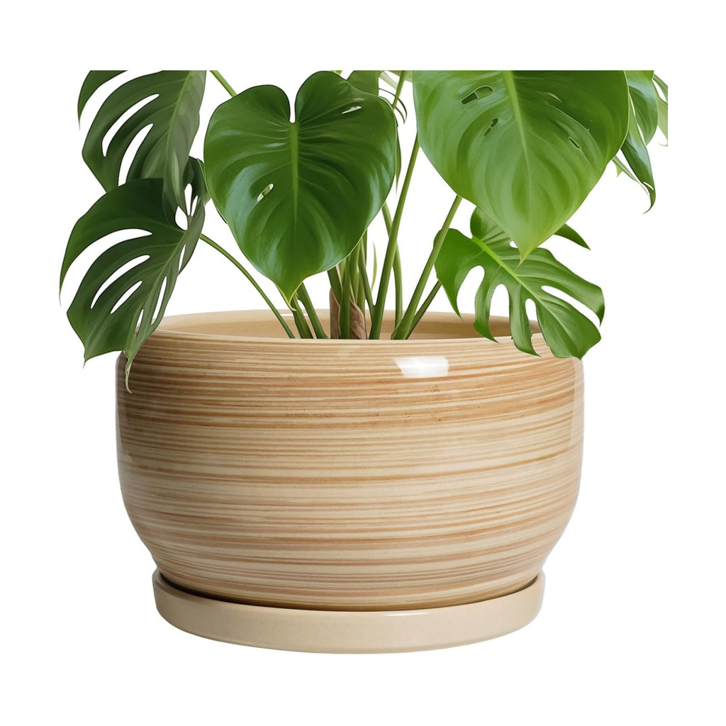 SQOWL Ceramic Plant Pot - 10 Inch Large Planter with Drainage Hole and Saucer, Round Modern Planter for Indoor Plant