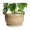 SQOWL Ceramic Plant Pot - 10 Inch Large Planter with Drainage Hole and Saucer, Round Modern Planter for Indoor Plant