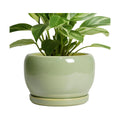 SQOWL 8 Inch Plant Pot - Ceramic Planters with Drainage Hole and Tray, Round Flower Pot for Indoor Plants, Modern