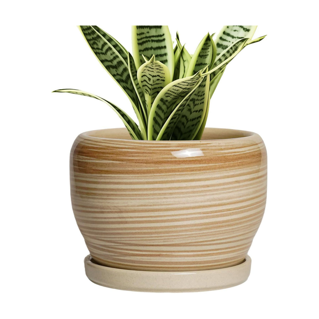 SQOWL Ceramic Pot for Plants - 6 Inch Indoor Planter with Drainage Hole and Tray, Round Modern Flower Pot Outdoor