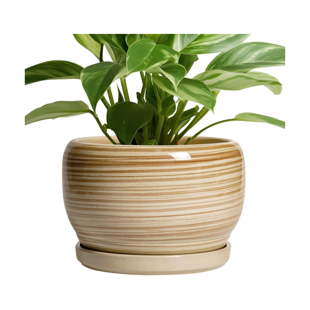 SQOWL Ceramic Planter- 8 Inch Plant Pot Indoor Outdoor, Round Planter with Drainage Hole and Plant Saucer, Decorative