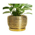 SQOWL Ceramic Flower Pot - 8 Inch Plant Pot Indoor Outdoor, Round Planter with Drainage Hole and Saucer, Decorative