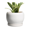 SQOWL Ceramic Flower Pots - 6 Inch Plant Pot Indoor Outdoor, Ceramic Planter with Drainage Hole and Saucer, Modern