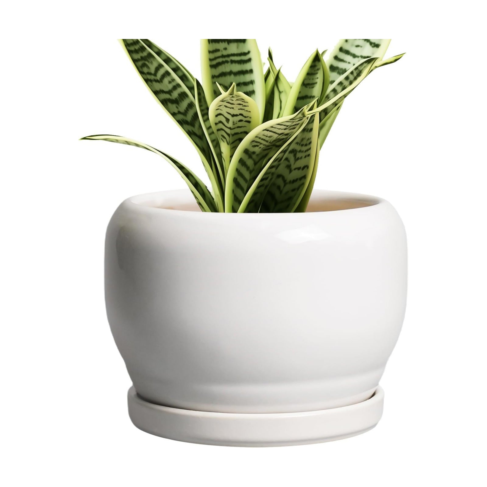 SQOWL Ceramic Flower Pots - 6 Inch Plant Pot Indoor Outdoor, Ceramic Planter with Drainage Hole and Saucer, Modern