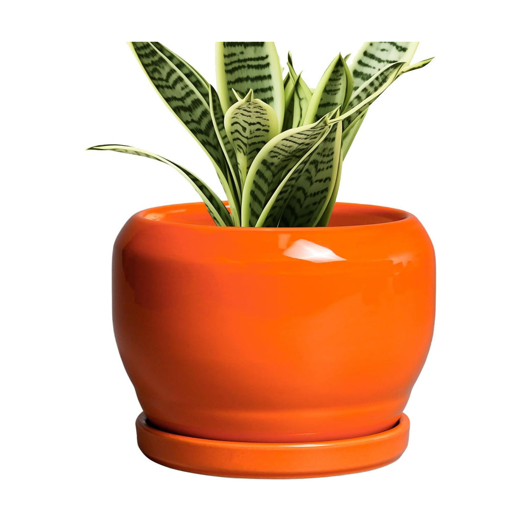 SQOWL Ceramic Plants Pots - 6 Inch Planter Indoor with Drainage Hole and Plant Saucer, Modern Round Planter Outdoor