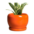 SQOWL Ceramic Plants Pots - 6 Inch Planter Indoor with Drainage Hole and Plant Saucer, Modern Round Planter Outdoor
