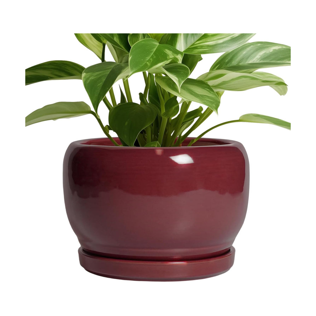 SQOWL Ceramic Planter - 8 Inch Plant Pot with Drainage Hole and Saucer, Round Planter for Indoor Outdoor Plants, Modern