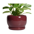 SQOWL Ceramic Planter - 8 Inch Plant Pot with Drainage Hole and Saucer, Round Planter for Indoor Outdoor Plants, Modern