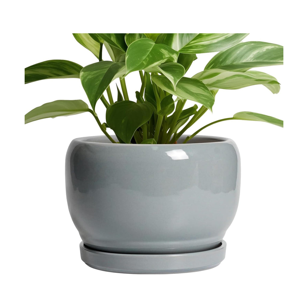 SQOWL Ceramic Pot for Plants - 8 Inch Plant Pot Indoor with Drainage Hole and Saucer, Round Planter Outdoor, Decorative