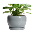 SQOWL Ceramic Pot for Plants - 8 Inch Plant Pot Indoor with Drainage Hole and Saucer, Round Planter Outdoor, Decorative