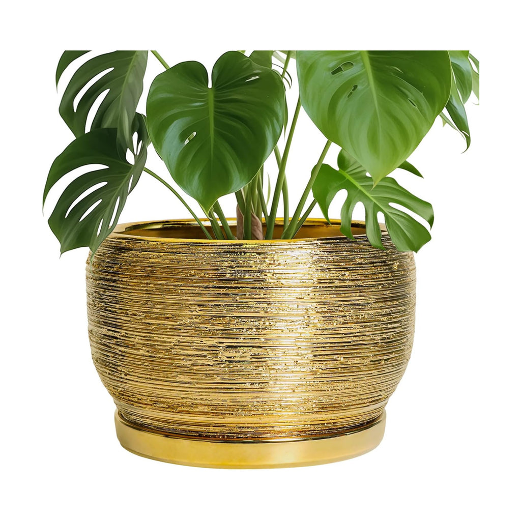 SQOWL Ceramic Planter for Indoor Plants - 10 Inch Plant Pot with Drainage Hole and Saucer, Modern Round Planter